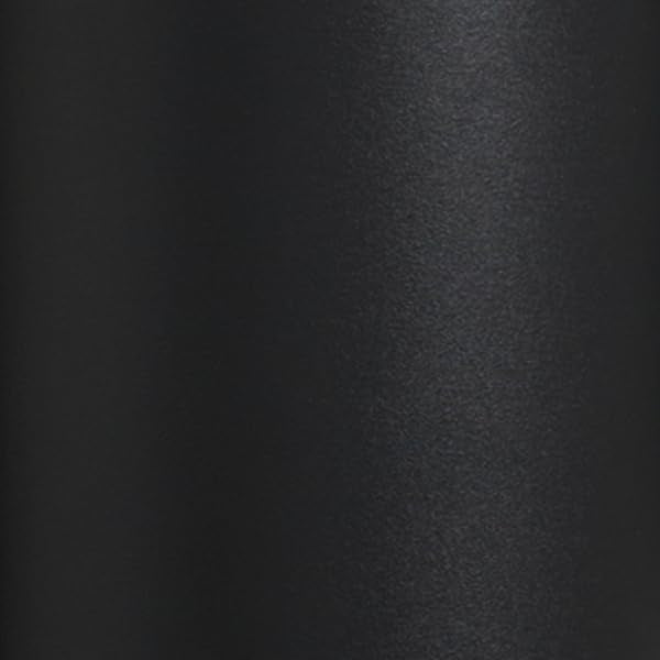 Stanley Quencher H20 FlowState Stainless Steel Vacuum Insulated Tumbler with Lid and Straw for Water Iced Tea or Coffee Smoothie and More Peony 30oz