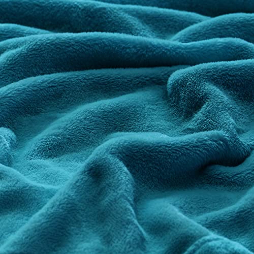 Bedsure Fleece Bed Blankets Queen Size Grey  Soft Lightweight Plush Fuzzy Cozy Luxury Blanket Microfiber 90x90 inches