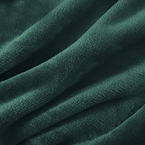 Bedsure Fleece Bed Blankets Queen Size Grey  Soft Lightweight Plush Fuzzy Cozy Luxury Blanket Microfiber 90x90 inches