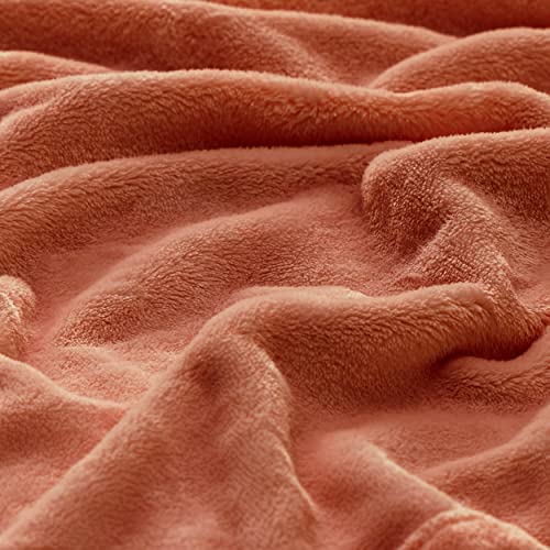 Bedsure Fleece Bed Blankets Queen Size Grey  Soft Lightweight Plush Fuzzy Cozy Luxury Blanket Microfiber 90x90 inches