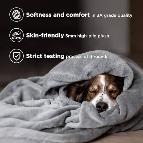Bedsure Fleece Bed Blankets Queen Size Grey  Soft Lightweight Plush Fuzzy Cozy Luxury Blanket Microfiber 90x90 inches